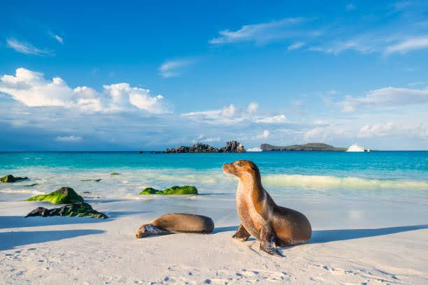 Galapagos-Islands.